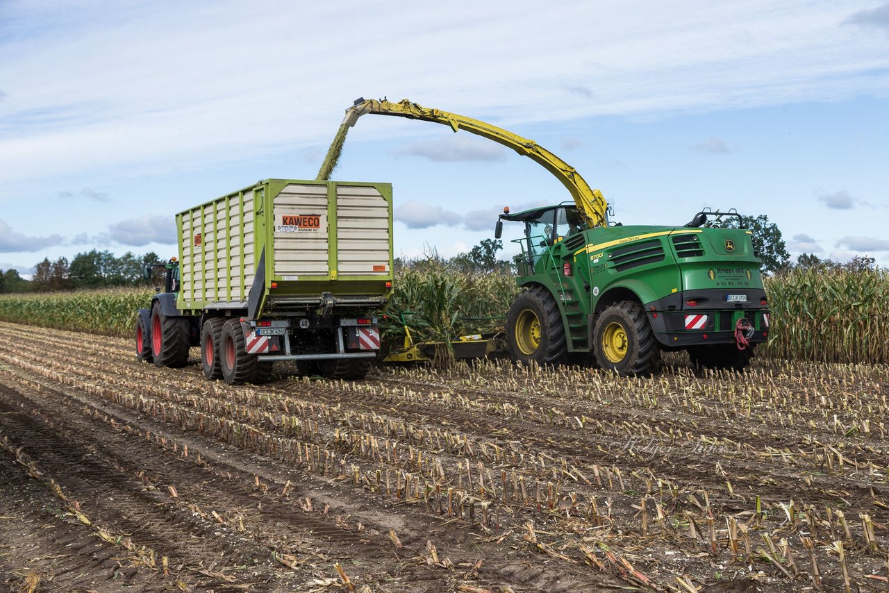 Bild 104 - Maisernte